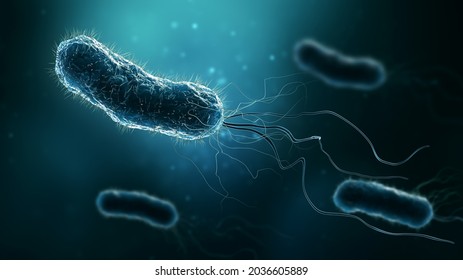 4,858 Salmonella Stock Illustrations, Images & Vectors | Shutterstock