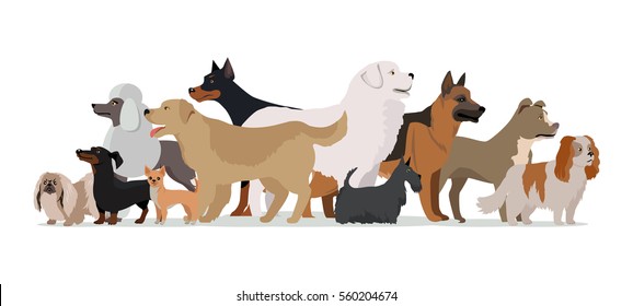 8,405 Group different dogs Images, Stock Photos & Vectors | Shutterstock