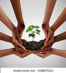 Group Of Diverse People Care And Responsibility Idea As A Cooperation Through Social Diversity Nurturing A Sapling Tree.