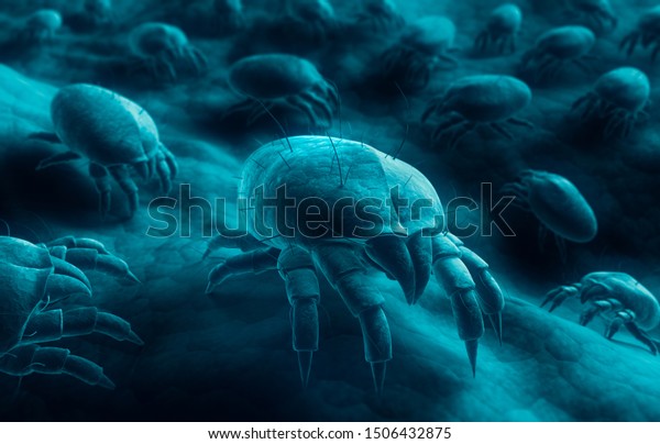 Group of\
dust mites on skin surface - 3D\
illustration
