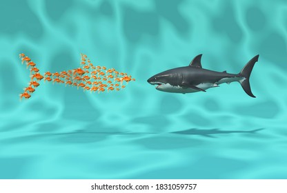 Fighting Sharks High Res Stock Images Shutterstock - pics of fighting sharks roblox