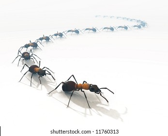 group of insects, ants, in a line on the floor, on white isolated background