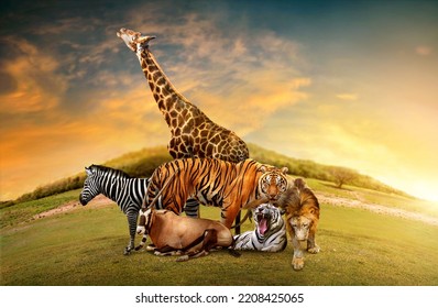 Group Of Many African Animals Giraffe, Lion, Tiger, Zebra And Others Stand Together In Nature Backdrop With Mountains. Composite Of A Large Group Of Wildlife Zoo Animals Together.