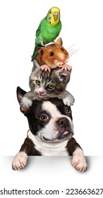 Group Of Pets Concept As A Dog Cat Hamster And Budgie Standing On Top Of Each Other As A Symbol For Veterinary Care And Support Or Pet Store Design Element For Advertising And Marketing On White.