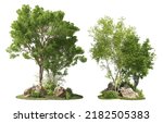 Group of trees among the rocks.
Cutout trees isolated on white background. Forest scape for landscaping or architectural visualisation. Photorealistic 3D rendering for professional composition.