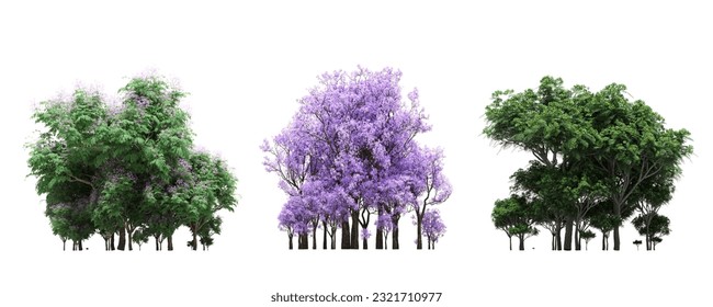 group of trees isolated on a white background, forest, sketch, outline illustration, cg render