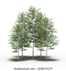 group of trees with a shadow under it, isolated on white background, 3D illustration, cg render