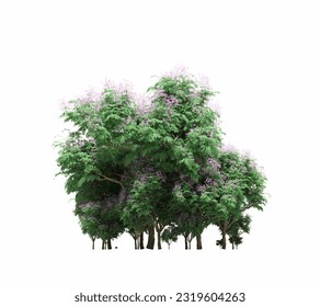 group of trees with a shadow under it, isolated on white background, 3D illustration, cg render