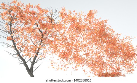 Growing Tree In A Shape Of Heart. Alpha Channel. 3D Rendering.