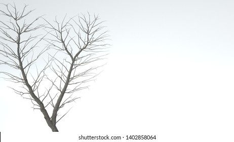 Growing Tree In A Shape Of Heart. Alpha Channel. 3D Rendering.