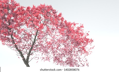 Growing Tree In A Shape Of Heart. Alpha Channel. 3D Rendering.