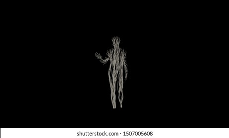 Growing Tree in a shape of Human. Eco Concept. 3D rendering.