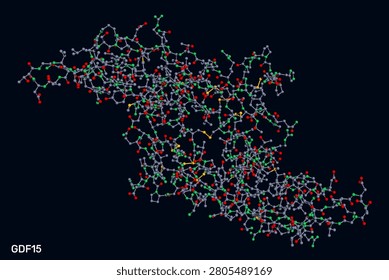 Growth differentiation factor 15, GDF15 dimer molecule. Ttransforming growth factor beta and prognostic protein for obesity, appetite control, metabolism therapeutic target. 3d render