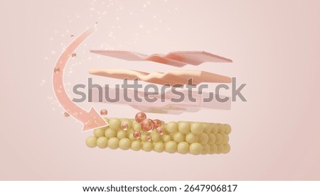 Growth Factor, Stem Cell, or Peptide serum targeting the hypodermis to repair and volumize the subcutaneous fat layer for a lifting effect. 3D render