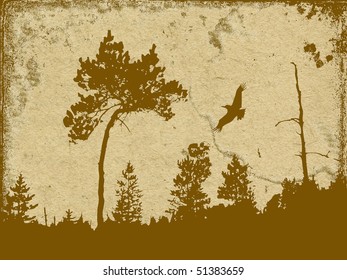  grunge background