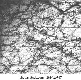 grunge background with space for text
