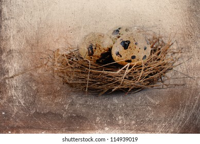 Grunge Brown Background. Vintage Bird Nest.