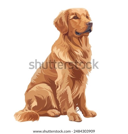 Guide to Drawing a Full-Body Flat Vector Illustration of a Golden Retriever