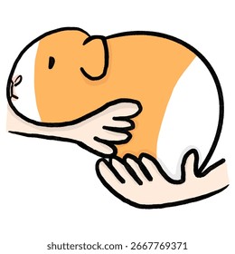 Guinea pig being held gently by hands. Cute illustration showing pet care and affection.