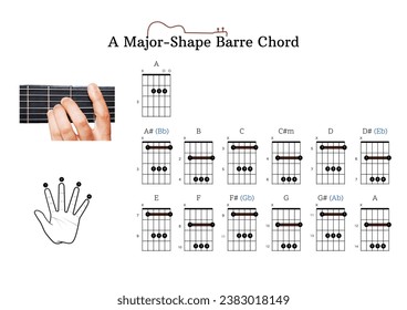 A guitar chord chart with A-major E-major E-minor and A-minor-shaped barre chords for guitar beginners with finger position - Powered by Shutterstock