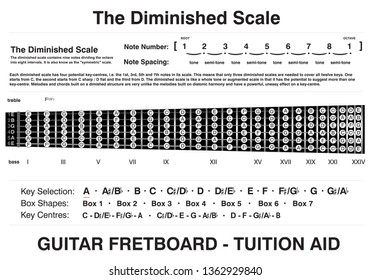 Guitar Tuition Aid Scale Diagram Fretboard Stock Illustration ...