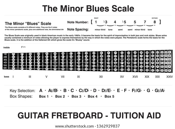 Fretboard Scales Charts