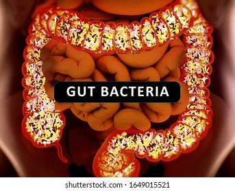 Gut Bacteria Microbiome Bacteria Inside Large Stock Illustration ...