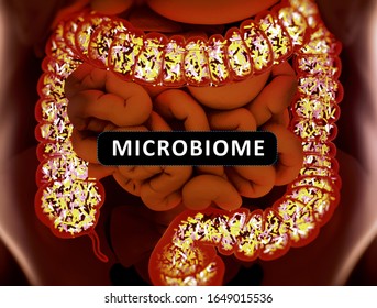 Gut bacteria, microbiome. Bacteria inside the large intestine, concept, representation with title "Microbiome". 3D illustration. 