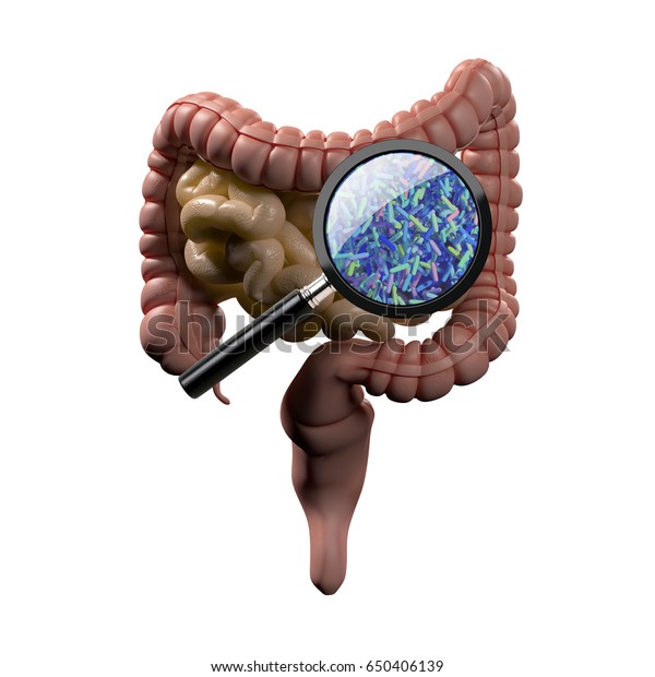 腸内細菌 微生物群系 腸内の細菌の拡大 コンセプト 表現 3dイラスト のイラスト素材