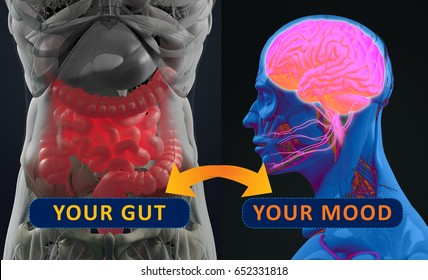 Gut-brain connection or gut brain axis. Concept art showing a connection from the gut, influencing your mood. 3d illustration. 