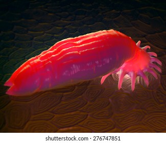 Gyrodactylus Aquatic Parasite On The Skin Of A Salmon Close-up View 