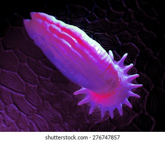 Gyrodactylus Aquatic Parasite On The Skin Of A Salmon Close-up View 