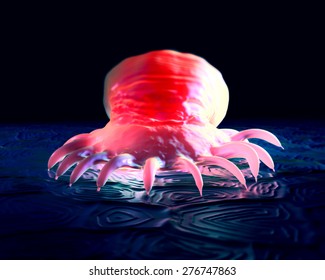 Gyrodactylus Aquatic Parasite On The Skin Of A Salmon Close-up View 