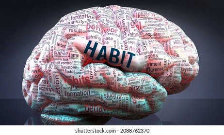 Habit in human brain, hundreds of crucial terms related to Habit projected onto a cortex to show broad extent of this condition  and to explore important concepts linked to Habit, 3d illustration