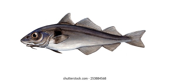 1,021 Smoked Haddock Images, Stock Photos & Vectors | Shutterstock