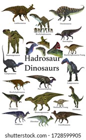 6,416 Cretaceous Period Images, Stock Photos & Vectors 