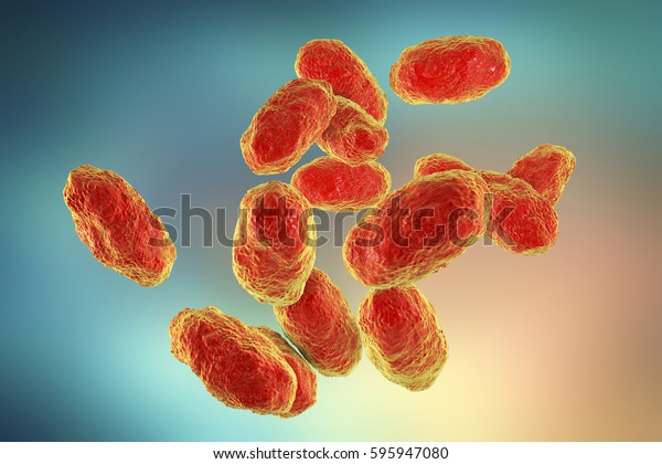 Haemophilus Influenzae Bacteria 3d Illustration Gramnegative Stock ...