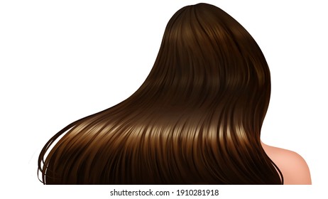 Hair Care And Beauty Long Hair . Woman Brown Hair  Brunette , Healthy Concept. Women Are With Straight Hair Soft Smooth . On White Background . Digital Painting And Illustration.