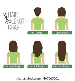 Hair Length Chart Back View.