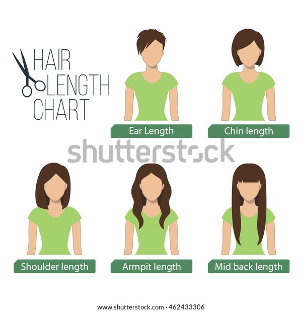 Hair Length Chart Front View Stock Illustration 462433306