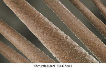 Hair Porosity, Hair Close-up 3d Illustration