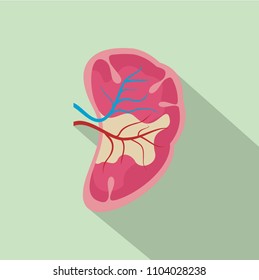 Half Kidney Icon. Flat Illustration Of Half Kidney Icon For Web Design