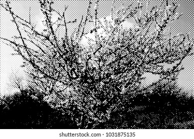 Halftone with dots of trees in spring blossoming 