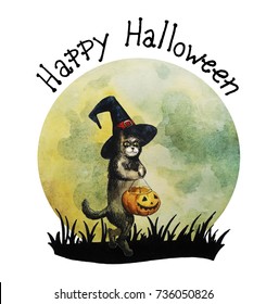 Halloween card, Happy cat with witch hat and pumpkin, hand drawn watercolor illustration