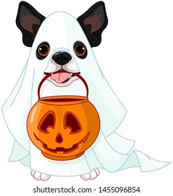 Halloween costumed dog holds pumpkin bag 