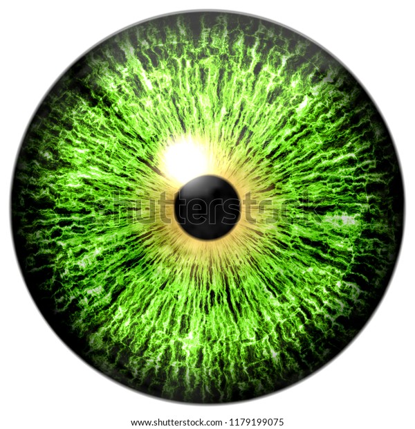 白い緑の目の上にハロウィーン 黒い瞳の眼球のテクスチャー のイラスト素材