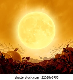 Halloween Night Poster And Autumn Party Background With An Orange Moon Glowing On A Grungy Old Creepy Pumpkin Patch In A 3D Illustration Style.