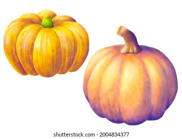 Halloween pumpkin  colored pencil drawing