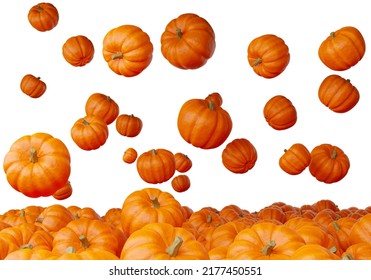 Halloween Pumpkin. Orange Pumpkins For All Saints Day. Pumpkins On Isolated On White. Halloween Banner Template. Gourd For Making Jack Lanterns. Gourd Fall Down In Heap. 3d Rendering.