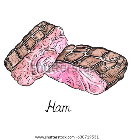 Ham, hand painted illustration, watercolor and ink outline